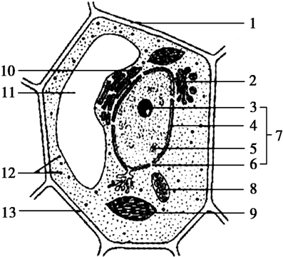 林院长